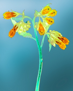 F 057E